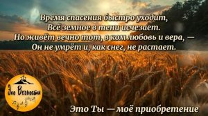 Это Ты мое приобретение