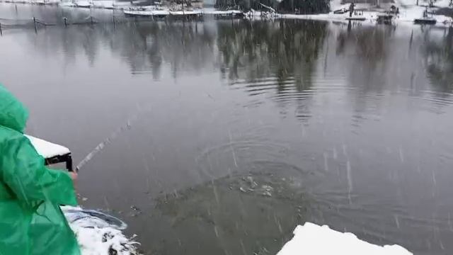 Светлые Горы Форель7 15.11.2025г. смотреть онлайн