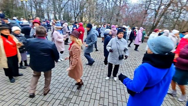 15.11.25г..."Не Грусти Калина"... смотреть онлайн