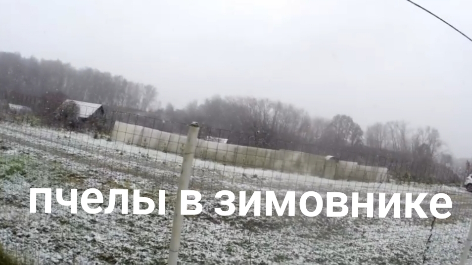 Пчелы переехали на зимние квартиры.