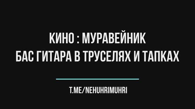 КИНО : Муравейник БАС гитара в труселях и тапках смотреть онлайн