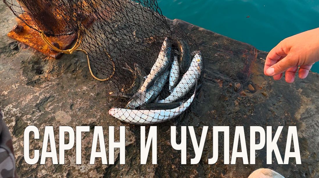 Сарган и Чуларка // Рыбалка в Сочи