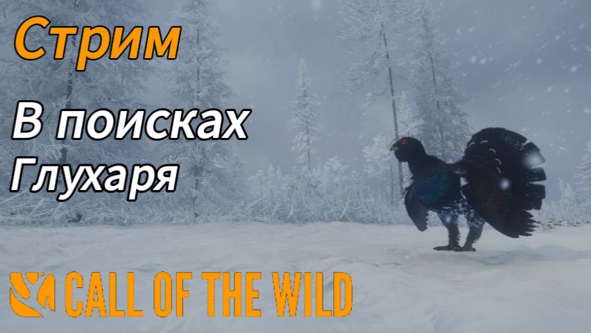 Охота на глухаря в Тайге в theHunter: Call of the Wild смотреть онлайн