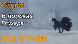 Охота на глухаря в Тайге в theHunter: Call of the Wild