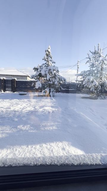 Окна в пол. Первая зима в своем доме