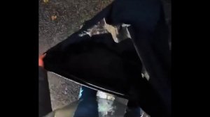 ТИК_ТОК___МЕМЫ_