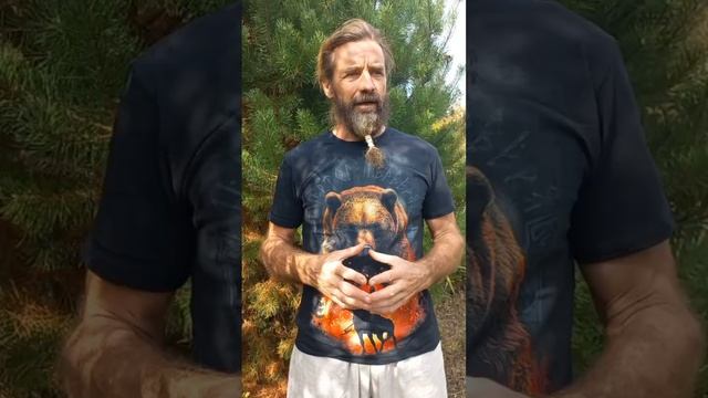 Формируем рефлекс