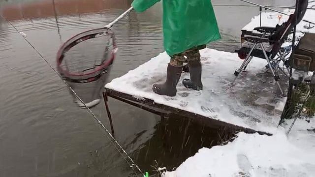 Светлые Горы Форель9 15.11.2025г. смотреть онлайн