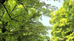 Modena 06.2025  Italy..