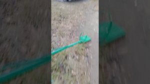 поехали к акулисту с Басиком и Васей