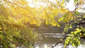 Снова осень