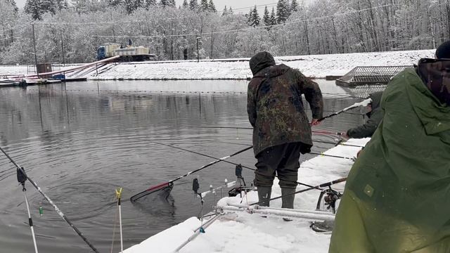 Поимка форели смотреть онлайн