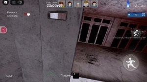 пета пета роблокс