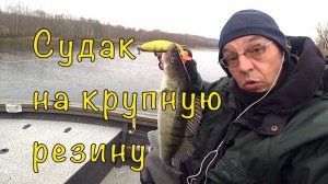 СУДАК на пелагический джиг. Ну и ЩУКИ в довесок.