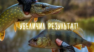 ВТОРОЙ РАЗ на РЕКЕ а уже ТАКОЙ УЛОВ! 👍  РЫБАЛКА на СПИННИНГ в стиле МИКРОДЖИГ