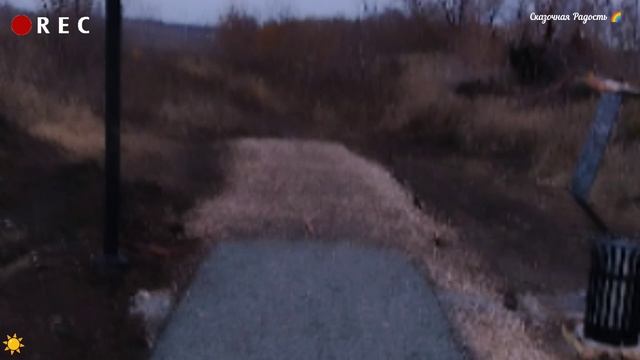 Обзор моя осенняя🍂 прогулка в Соловьиной роще в Солнечном ☀️. смотреть онлайн