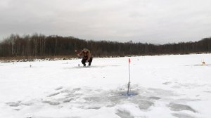 ШОК! КАБАНЫ ПОД ПОЛКИЛО НЕ ДАЮТ ПРИСЕСТЬ! ЭТО СКАЗКА, А НЕ РЫБАЛКА! Первый лед