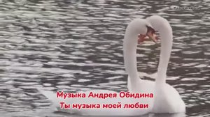 Релакс. Прекрасные птицы под музыку А.Обидина