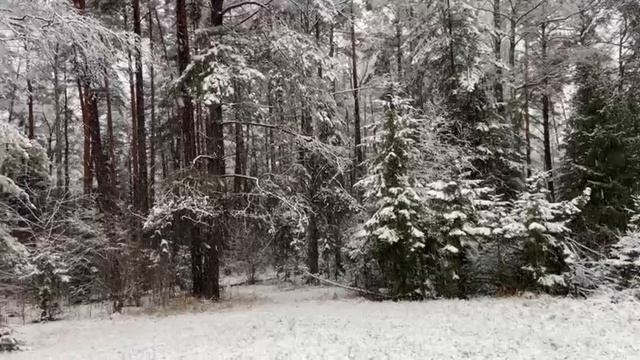 Первый снег 15 ноября 2025 смотреть онлайн