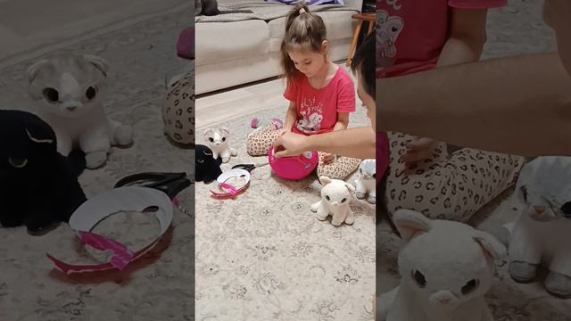 Распаковка котенка Pets Alive
