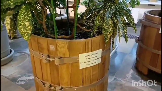 Я ещё не видела такой красоты /как живут в русской деревне смотреть онлайн