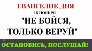 16 ноября Евангелие дня Не бойся, только веруй! Как Христос воскресил дочь Иаира (Лк 8 41-56)