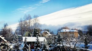 Опора ПЕНДУЛЬНЫХ хвойных!🌲 Первый снег! ❄️☃️15.11.25 #сад #garden #обзор #дача