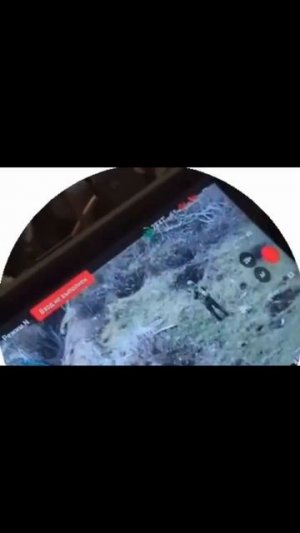 СВО👉ТЕЛЕГРАММ👈