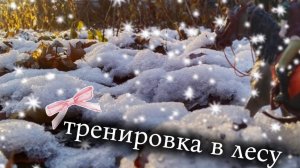Тренировка в лесу!🐎ВЫПАЛ СНЕГ?!