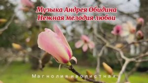 Релакс. Прекрасная музыка и великолепные цветы. А. Обидин