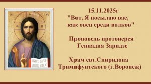 15.11.2025г «Вот, Я посылаю вас, как овец среди волков» Проповедь протоиерея Геннадия Заридзе.