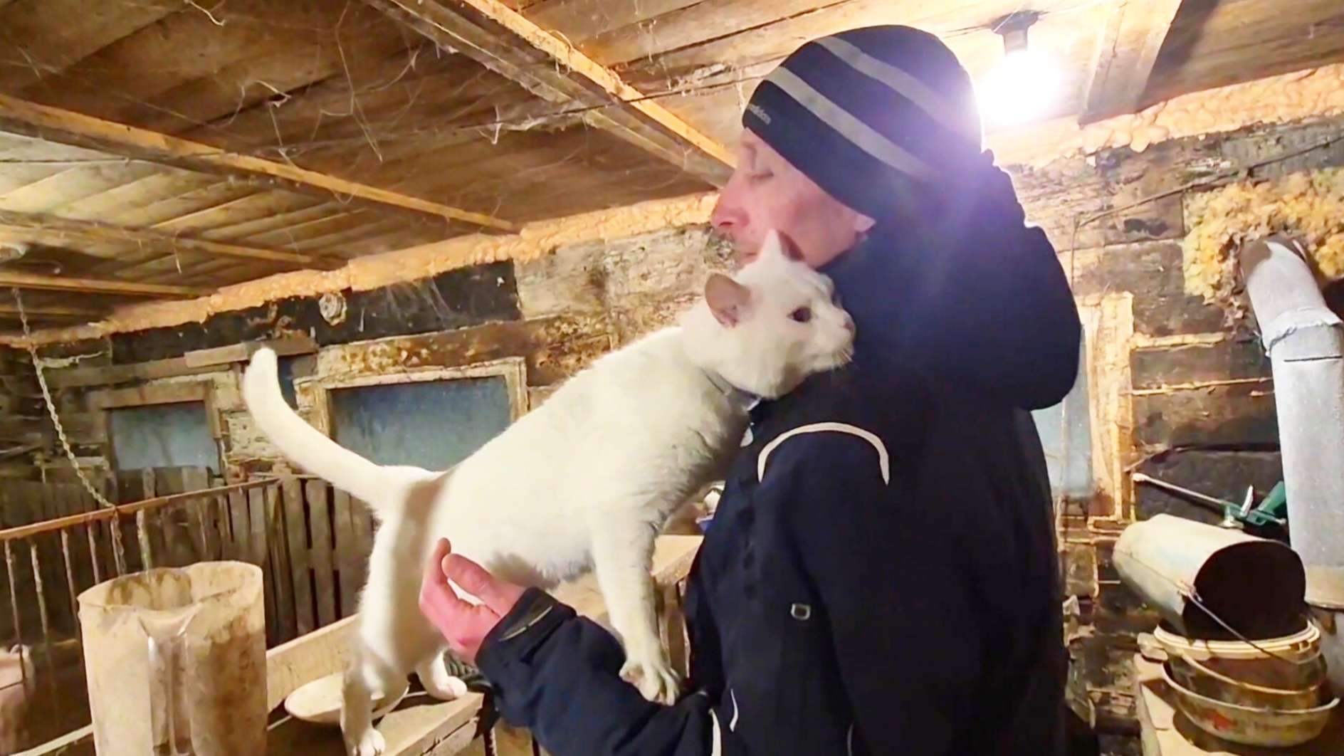 Он вообще обнаглел🤔Я Ревную,Приходил Слепой Кот искал покушать,В город в магазин смотреть онлайн