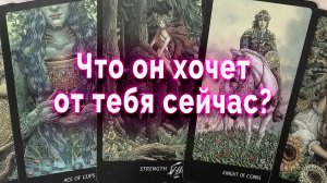 В эту минуту! Что он хочет от тебя? Таро Гадание Расклад
