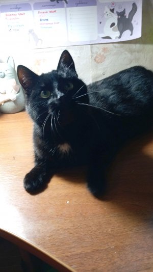 Подпишися😘