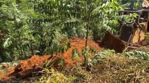 Строительство, расчистка дороги в лесу