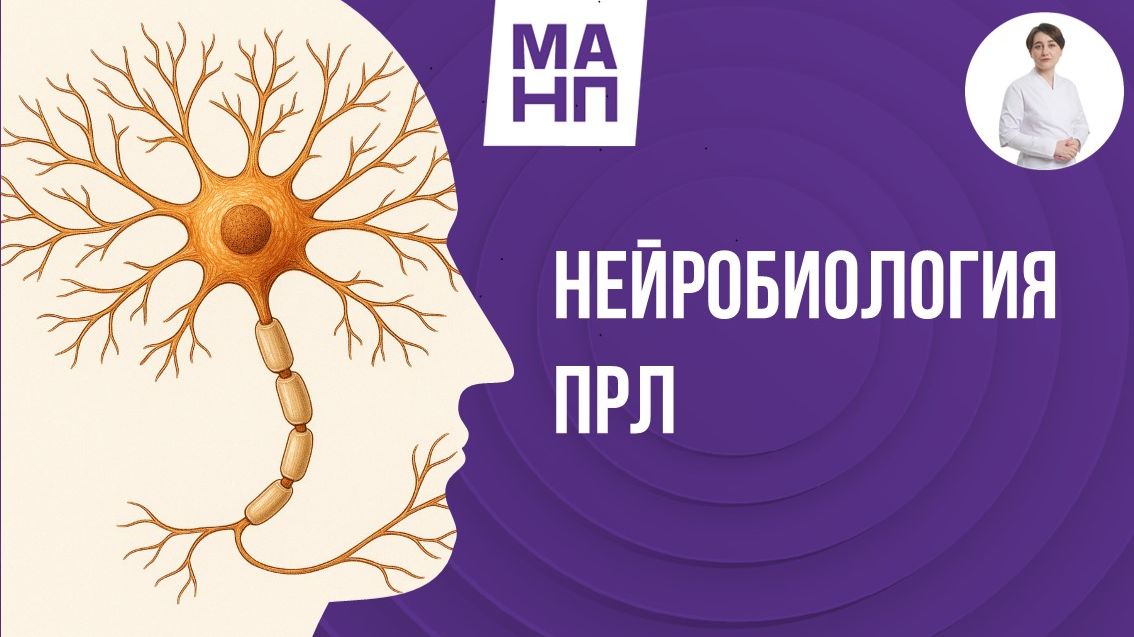 Нейробиология пограничного расстройства личности (ПРЛ)