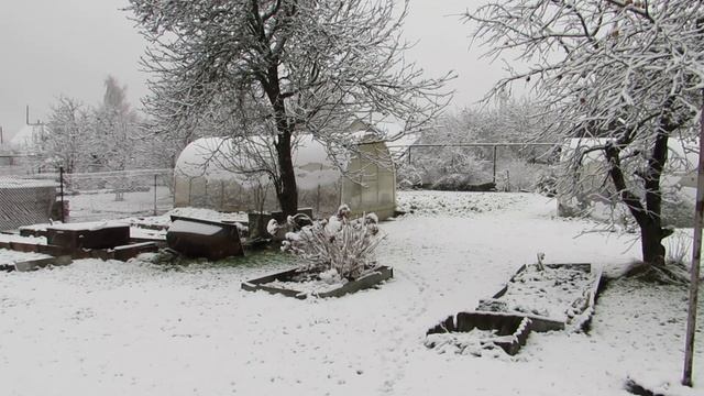 Первый снег.