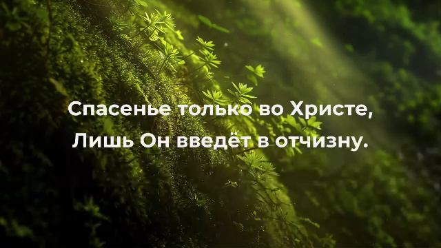 Церковь Христиан Адвентистов Седьмого дня г. Тюмень 08.11.25