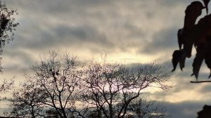 Каждый день уборка листьев🍁🍁🍁у нас еще тепло🌞