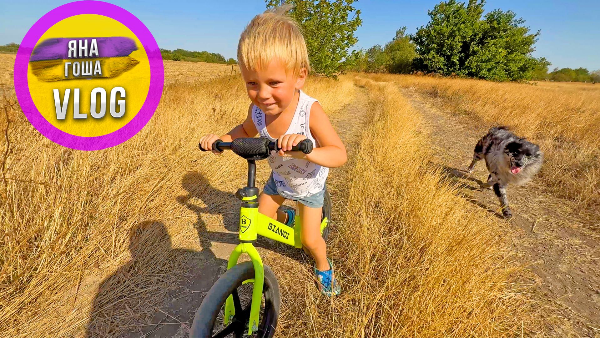 Неделю болеем всей семьей! Цесарки терроризируют село! Осень пришла, в Крыму холодает! смотреть онлайн