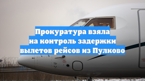 Прокуратура взяла на контроль задержки вылетов рейсов из Пулково