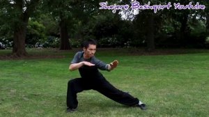 Кобра 5й ступени Туран йоги