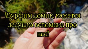 Шурфим домик, кажется дедушка хабар вспомнил про нас!