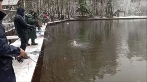 Форель реагирует на приманки в придонном слое. Спорт-зона. Клёвое место Лосиный остров.