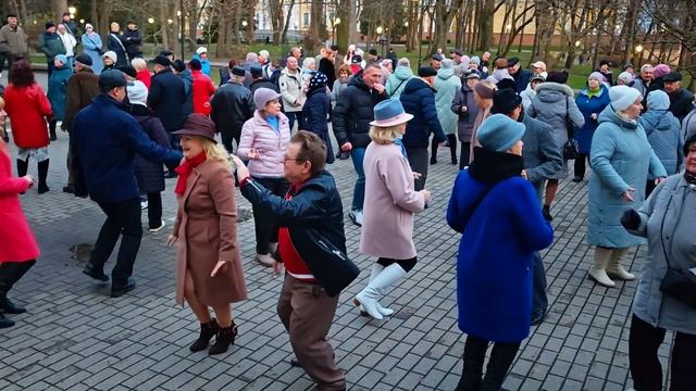 15.11.25г... "Мы уже Пенсионеры"... смотреть онлайн