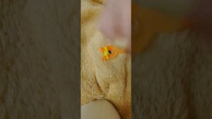 мир из резинок