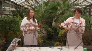 Мастер-класс. Плетение оленей из лозы