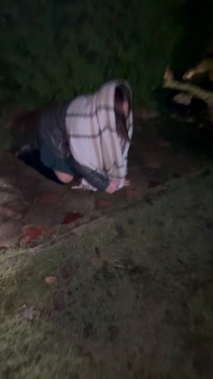 Крокодил напал на сына дочери..