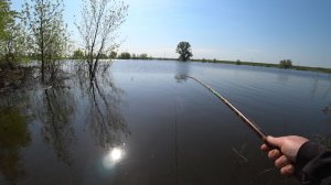 Рыбалка в зарослях кустов и деревьев. Ловля на поплавочную удочку