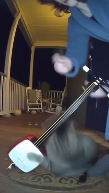 Три часа ночи: наступают Твой кот: смотреть онлайн